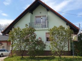 Beautiful house surrounded by pure nature, atostogų būstas mieste Rogašovci