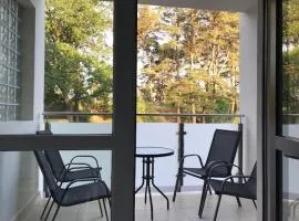 Apartament bursztynowy