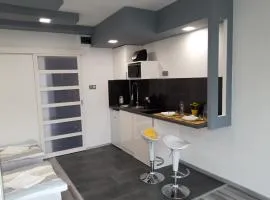 Belvárosi apartman