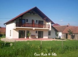 Casa Rudi & Ella, guesthouse kohteessa Sălişte