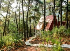 Cat Ba Eco Lodge Resort – domek górski w mieście Cát Bà