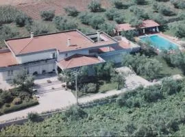 B&B Arli