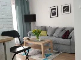 Apartament Zamojska - GarwoNocka