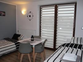 Apartament Fibra Aroma, hotel di Rybnik