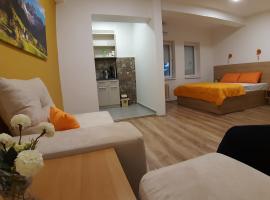 Bojana Apartment, апартаменти у місті Неготино