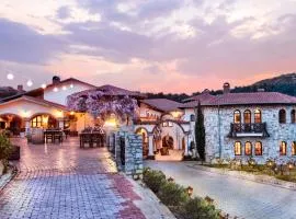 VINIFERA VINEYARDS HOTEL