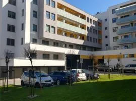 Apartament FALA-Miodowy Dom