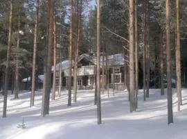 Holiday Home Kangastus a by Interhome