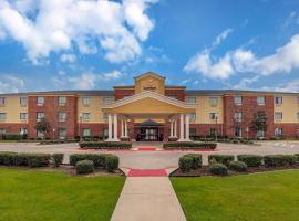 에니스에 위치한 호텔 Comfort Suites Ennis