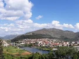Nijona 1