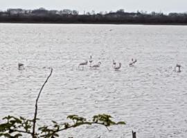 Maddy Appartamento, apartm&aacute;n v destinaci Porto Viro