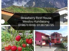 Strawberry Rest House Mesilou Kundasang, hostal o pensió a Kampong Kundassan