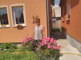 Apartmani ,,Bato,,, hotel din Sjenica