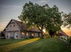 Winzarei, Weingut Tement