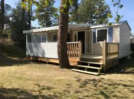 Mobile Home - Camping