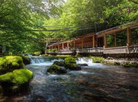 Resort Ujevara e Drinit, hotel a Pejë