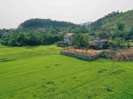 Phong Nha Rice Field Homestay