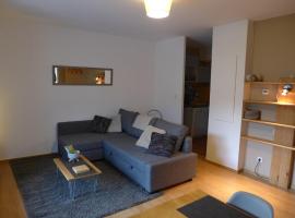 Confortable appartement T2 cabine Loudenvielle, hotel near Balnea, Loudenvielle