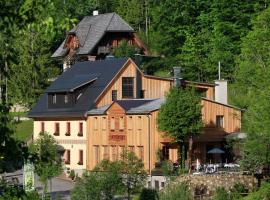 Hotel Fahrnberger, spa hotel in Göstling an der Ybbs