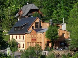 Hotel Fahrnberger, hotel di Göstling an der Ybbs