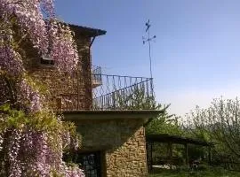 B&B La Civetta