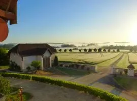 Domaine de la Maison Neuve