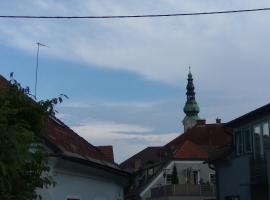 Zentrales kleines Appartment