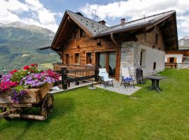 Chalet Teo e Marianna – hotel w mieście Bormio