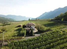 Weingut Hochleiten