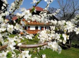 Apartma Lesjak - pobeg v naravo 2