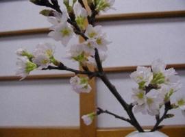 Wakaba Ryokan / Vacation STAY 29366、酒田市のホテル