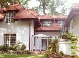 Krzysin