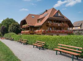 Hotel Sonne Garni, hôtel à Hinterzarten