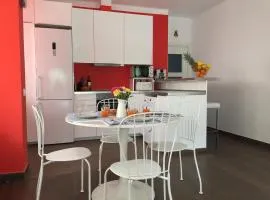 Nice apartment 80 meters from the beach