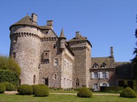 Château de La Vigne, cheap hotel in Ally