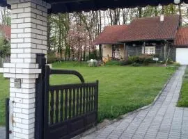 vila zelenac