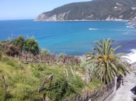 Un gioiello con vista mare, hotell i Moneglia