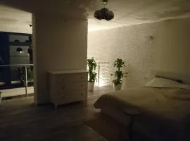 Apartament Loft 100 m2 Centrum Bydgoszcz