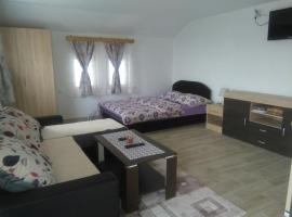 Apartmani "Babići", guest house in Banja Luka
