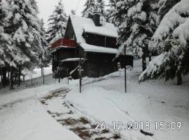 Waldhaus, Ski- und Wanderhütte, hotell i Breitenbrunn