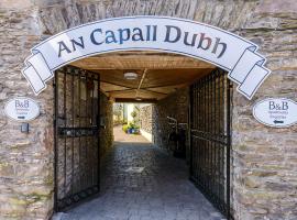Dingle Centre Townhouse An Capall Dubh Dingle、ディングルのホテル