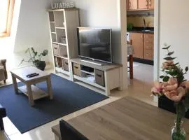 Atico Luadas
