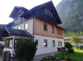 Haus Steinbrecher Hallstatt