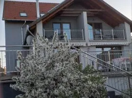 Villa Rigo Panzió