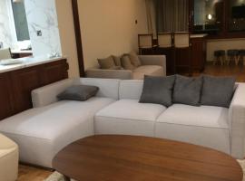 luxury 2 bed room apartment fully furnished, huoneisto Nikosiassa