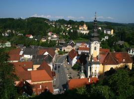 Gasthof zum Goldenen Löwen เกสต์เฮาส์ในเอห์เรนเฮาเซน