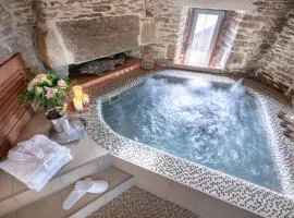La Vinotière Chambres Appartements Spa