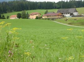 Viesnīca Ferienhaus Wohleser pilsētā Mariahof