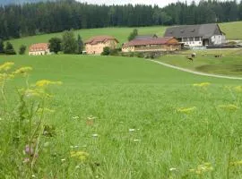 Ferienhaus Wohleser