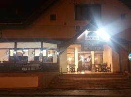 Motel Restaurant Lowe, motel en Deva